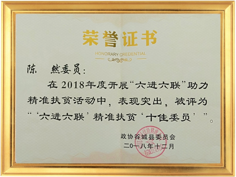 精準(zhǔn)扶貧十佳委員